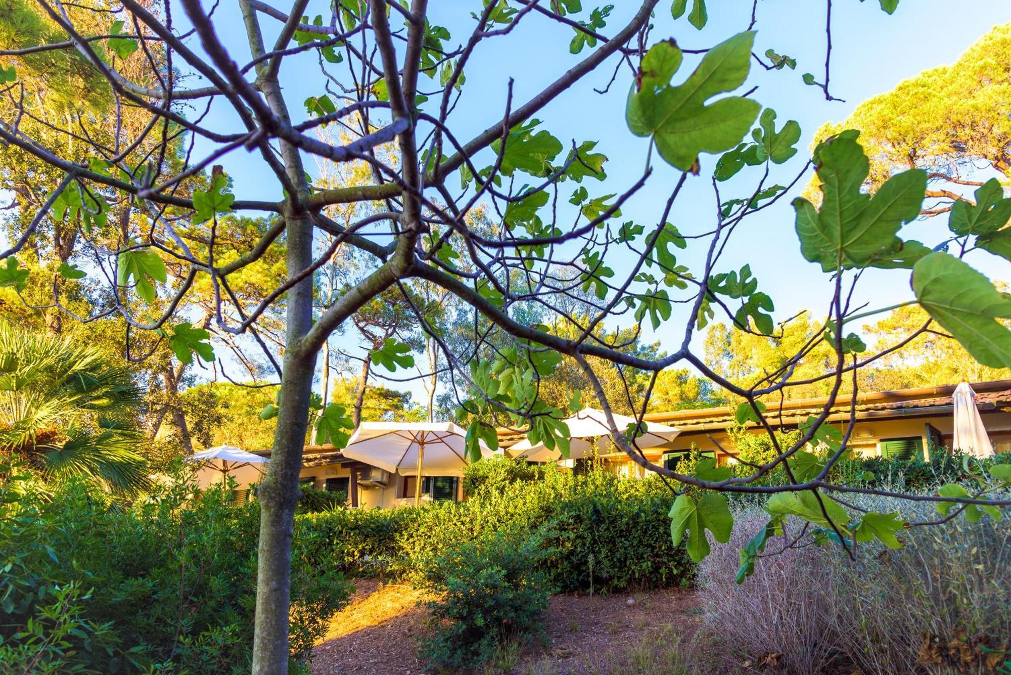 Hotel Villa Ottone بورتوفيرّايو المظهر الخارجي الصورة